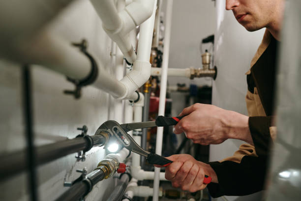 Best Drain Cleaning Services  in Warrensburg, IL