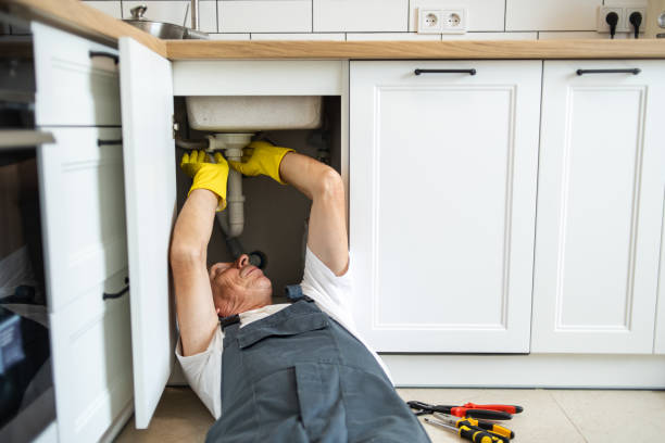 Best 24-Hour Plumber Near Me  in Warrensburg, IL