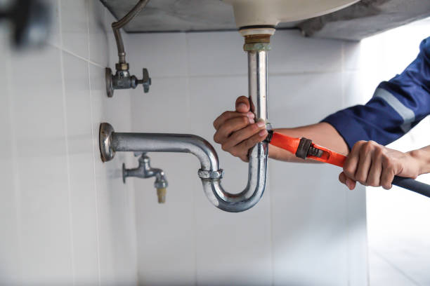 Best Affordable Plumbing Services  in Warrensburg, IL