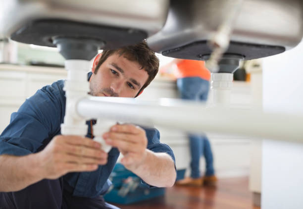 Best Clogged Drain Plumber  in Warrensburg, IL