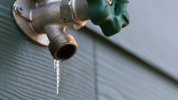 Best Affordable Plumber Near Me  in Warrensburg, IL